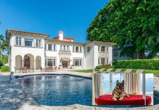 Worlds Richest Dog Gunther VI Is Selling Miami Mansion For Rs 238 Crore - Sakshi