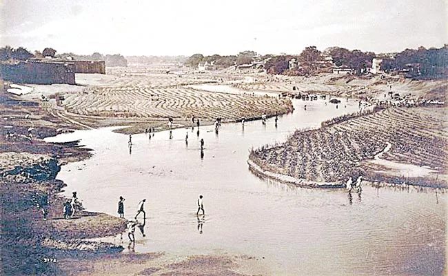 Telangana Farmers Wonderfully Alternative Cropping System - Sakshi