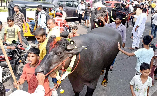 Traffic Diversions in Hyderabad For Sadar Celebrations - Sakshi