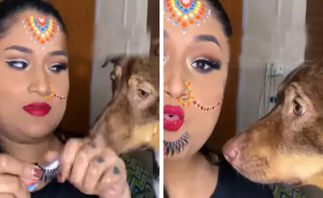 Mukul Richards Teaching Her Pet Doggo Tricks of Putting on Eyelashes Video  Viral - Sakshi
