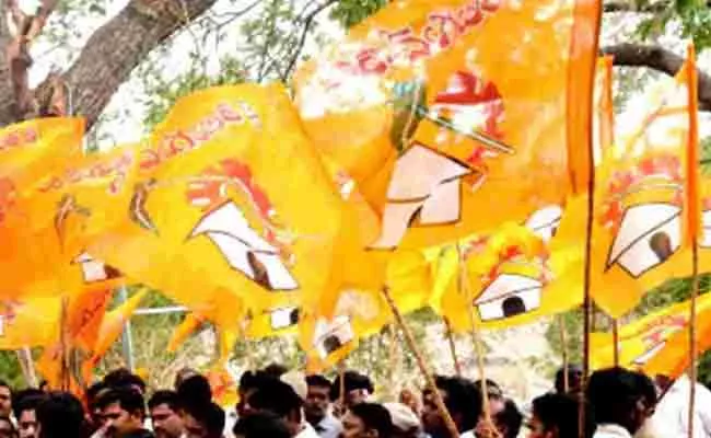 Vibrations In TDP With Nellore Corporation‌ Election Results - Sakshi