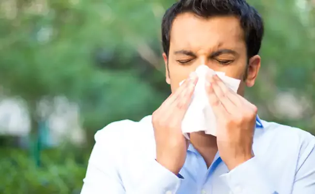Sinus Infection Symptoms Causes And Treatment In Telugu - Sakshi