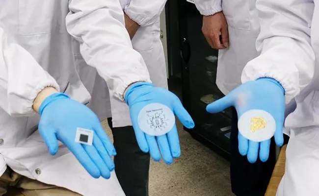 Scientists have developed biodegradable printed paper batteries - Sakshi