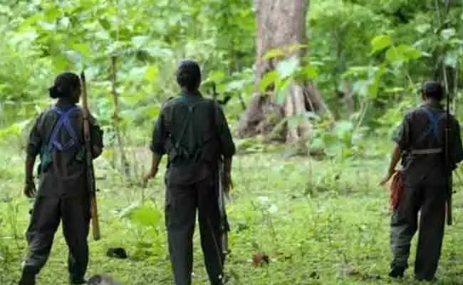 Maoist Encounter In Telangana Chhattisgarh Border Two Maoists Died - Sakshi