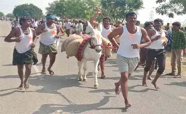 People Practicing Donkey Running Race In Kurnool - Sakshi