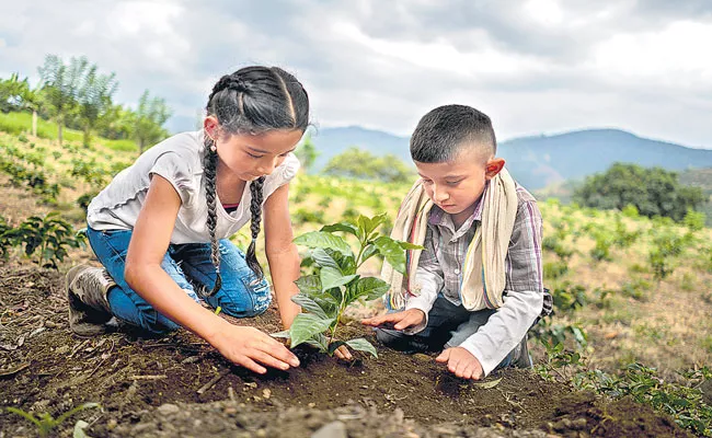World Soil Day: Find out the value of soil - Sakshi