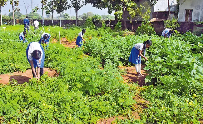 Organic farming in Siddipet district Nancharpalli Government school - Sakshi
