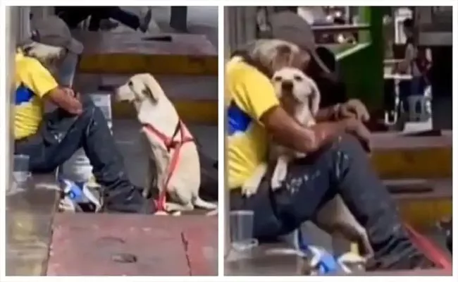 Viral Video: Dog Gives Homeless Man Much Needed Hug - Sakshi