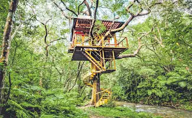 Aditya Thackeray First Ever Tree House in Mumbai Impresses Tourists - Sakshi