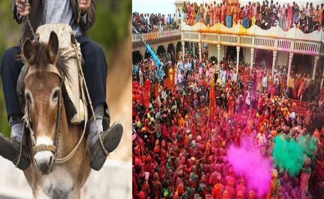 Maharashtra: Newest Son-in-law Donkey Ride On Holi In Beed Village - Sakshi