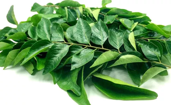 Health: Curry Leaves Surprising Benefits Can Control Blood Sugar Says Study - Sakshi