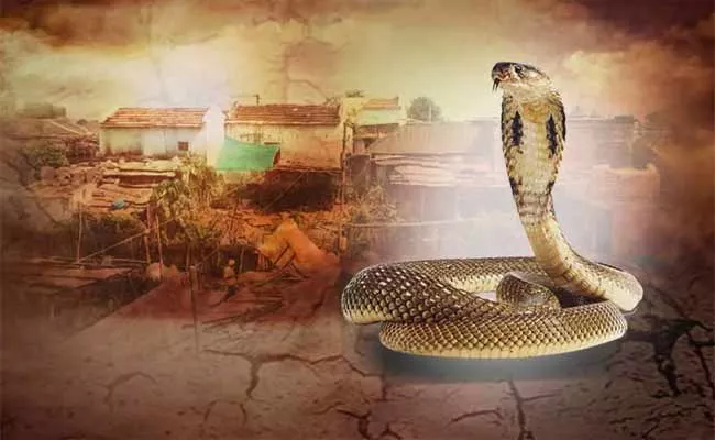 Snakes Will Take Revenge True Or False - Sakshi
