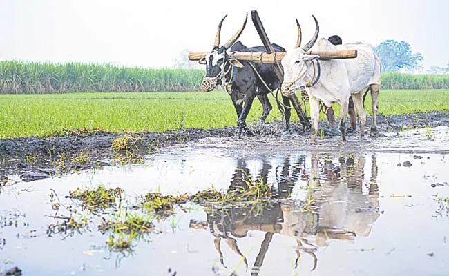 Telangana Identified 2615 Crop Clusters In State - Sakshi