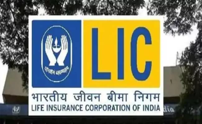 Lic Sold Whopping 41 Policies Every Minute 2 17 Crore in Fy22 - Sakshi