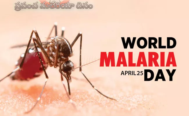 World Malaria Day 2022: Everything You Should Know About Mosquito Borne Disease - Sakshi