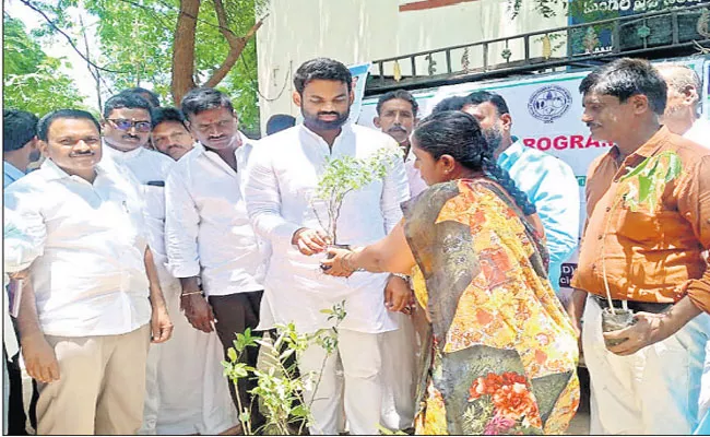 Plant Distribution Program Inaugurated ZPTC Member Ramanjula Reddy In Kadapa - Sakshi