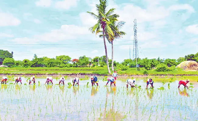 Telangana Agriculture Department Have a Action Plan - Sakshi