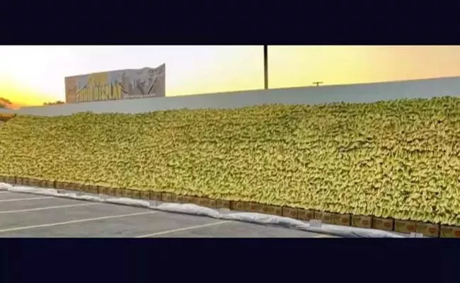 Viral Video: US Grocery Store Displays Bananas Break World Record - Sakshi