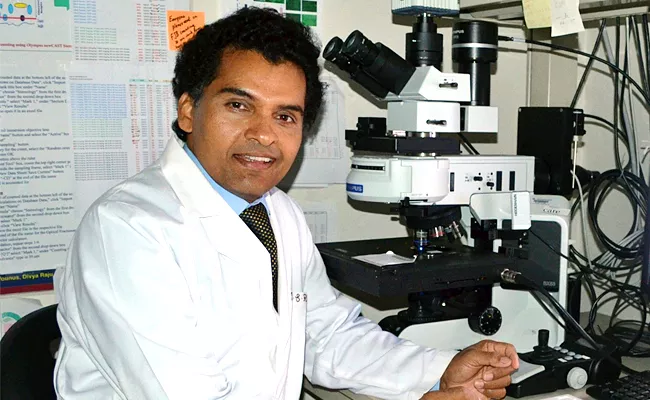 Dr SamabaReddy Got a Place In Stanford University’s World Top Scientist List - Sakshi