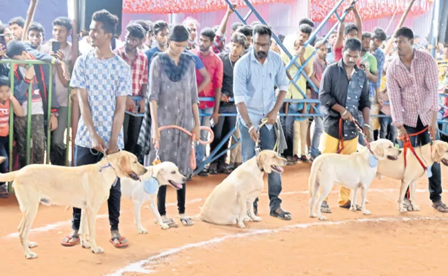 Dog Show Attracts In 28 All India Mangani Festival Karnataka - Sakshi