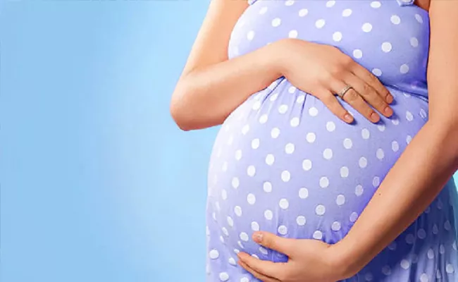 Surrogacy Assisted Reproductive Technology AP Govt Established Special Board - Sakshi