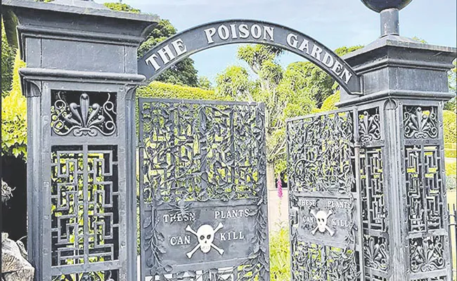 World Deadliest Garden: Garden In England Has 100 Poisonous Plants Can Kill - Sakshi