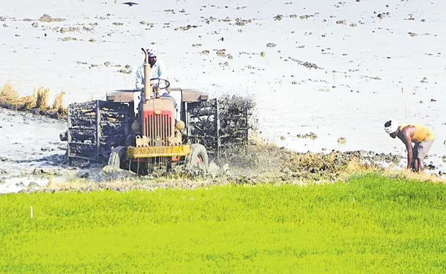 Kharif Crop Cultivation in Full Swing Andhra Pradesh - Sakshi