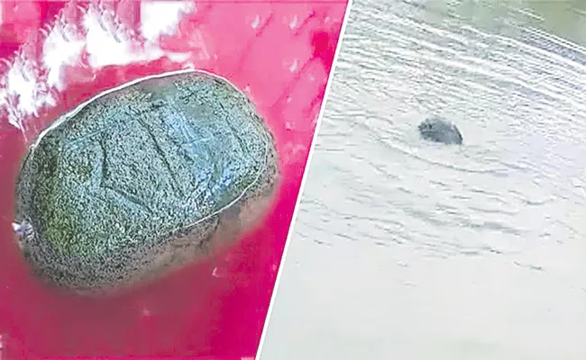 Floating stone found in UP Mainpuri - Sakshi