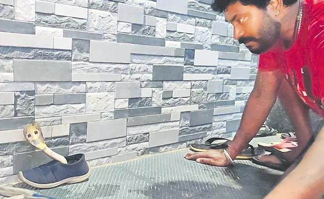 Man Finds Cobra Inside His Shoes In Karnataka - Sakshi