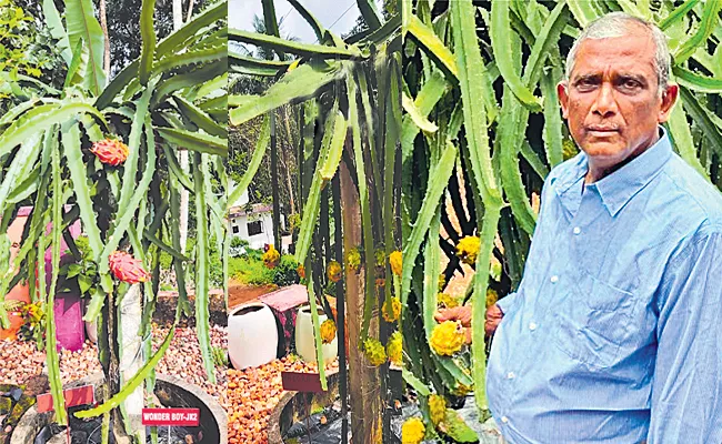 Sagubadi: Kerala Farmer Cultivate Dragon Collecting 100 Varieties - Sakshi