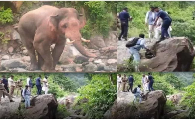Viral Video: Uttarakhand Former CM Elephant Stop His Convoy - Sakshi