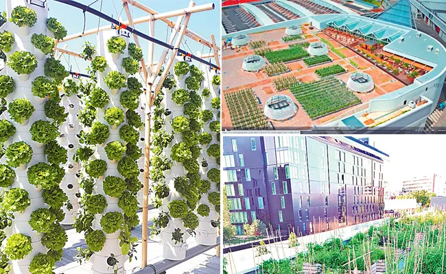 the worlds largest urban rooftop that is feeding Paris - Sakshi