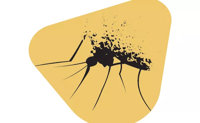 Scientists engineer mosquitoes that canot spread malaria - Sakshi