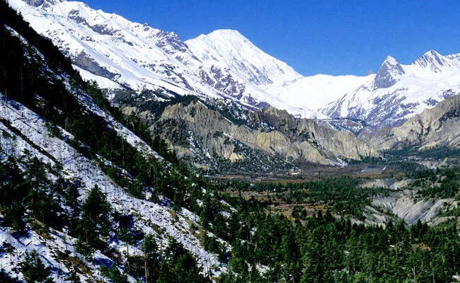 Need to Protect the Himalayas: Maringanti Srirama - Sakshi