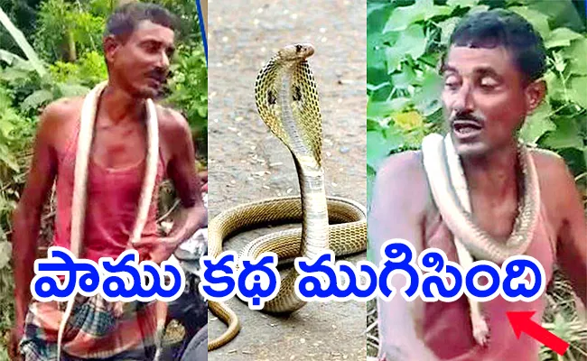 Out Of Anger Man Bit The Snake And Killed it At Odisha - Sakshi