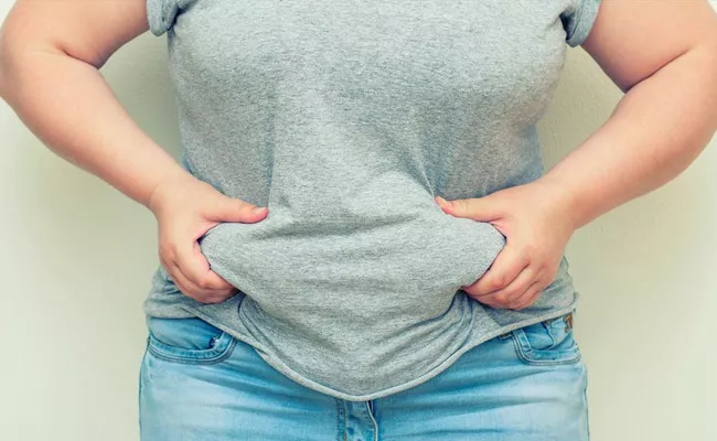 Obesity In Women In Kurnool 29 Percent Of Women Are Overweight - Sakshi