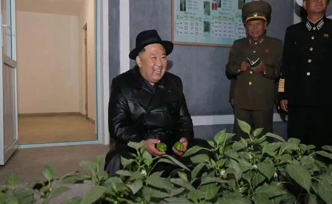 Greenhouse Farm Built On Former Air Base At North Korea - Sakshi