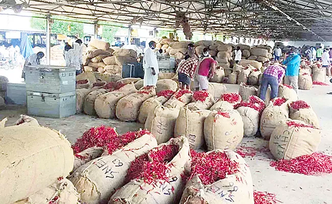 Guntur Pepper Exports Are Booming - Sakshi