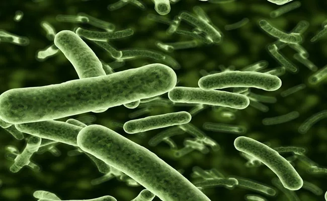Lancet Study 5 Bacteria Types Claimed 6-8 Lakh Lives In India In 2019 - Sakshi