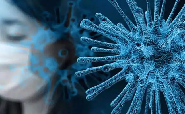 Marburg Virus After Corona WHO Warns One More Epidemic - Sakshi