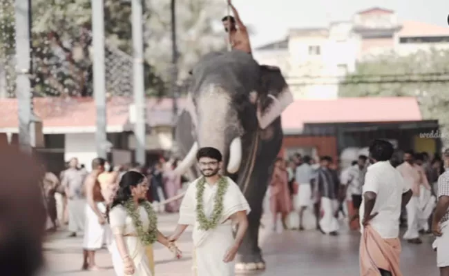 Newly Wed Couple Pose For Photo Then An Elephant Attack In Kerala - Sakshi