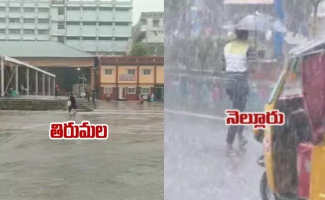 Heavy Rains In AP Due To Cyclone Mandous - Sakshi