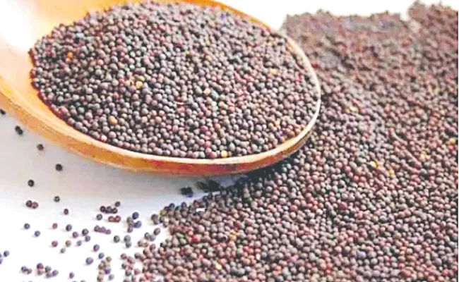 SC asks Centre to spell out compelling reasons for release of GM Mustard - Sakshi