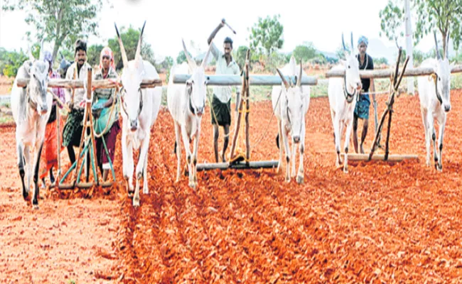 Assurance Of Cultivation Extensive Crop Loans - Sakshi