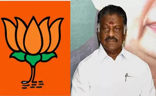 Vaidyalingam Gave Clarity On BJP Contest In Tamil Nadu - Sakshi