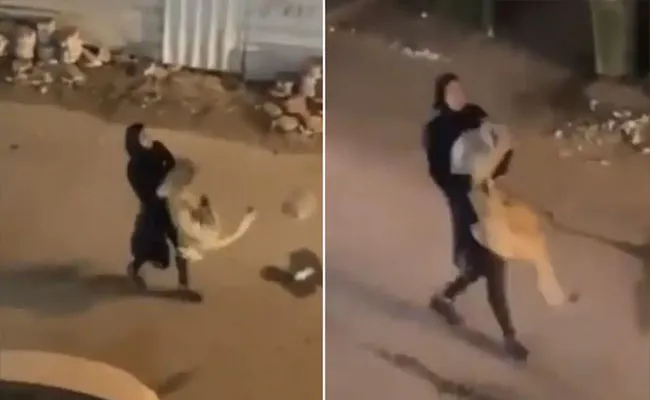 Woman Carries Lion In Arms Must Watch Viral Video - Sakshi
