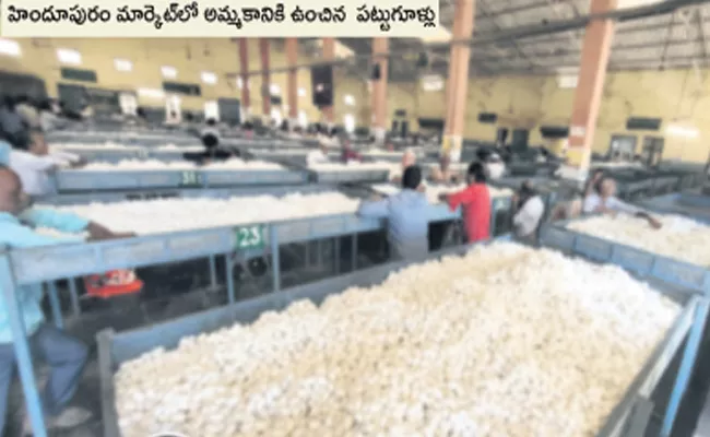 Cultivation of Mulberry And Cotton Combined Anantapur Districtr Gets Top - Sakshi