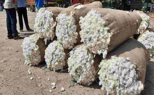 Farmers Concern No-Demand-Cotton Crop-Not-Getting-Minimum Support Price - Sakshi
