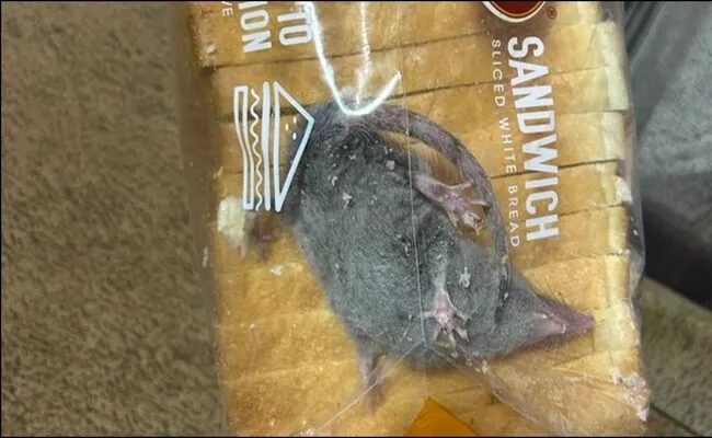 Man Finds Rat Inside Packet Of bread Delivered by Blinkit - Sakshi