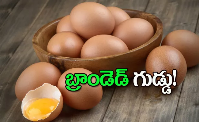 Eggoz Nutrition Eggs Are Full Demand In The Market - Sakshi
